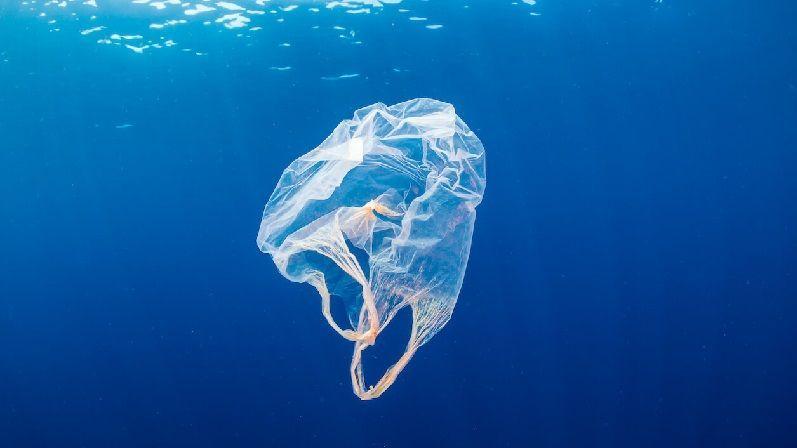 plastic-bag-pollution-fact-top