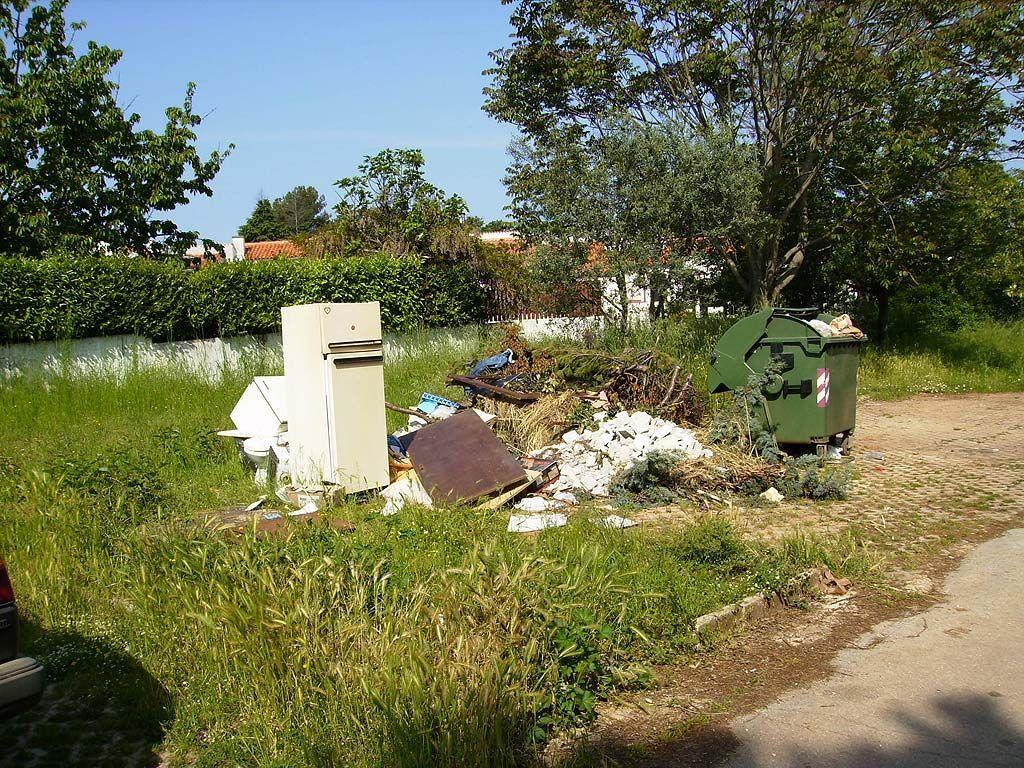 Picture20038