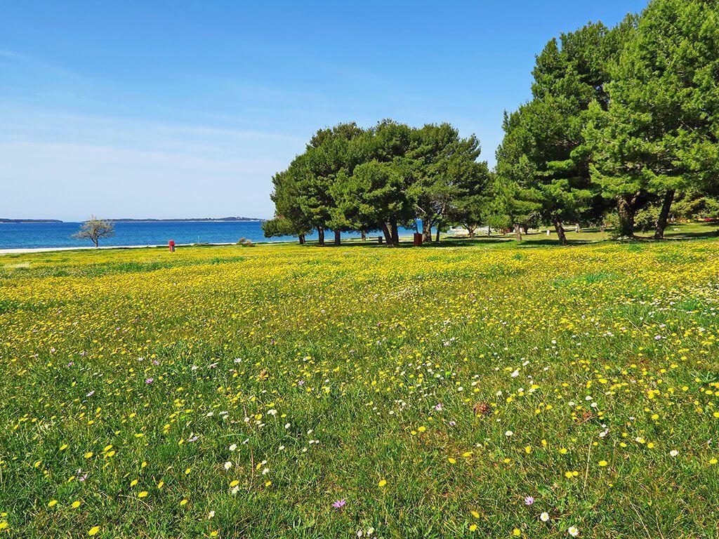 PRIRODA ISTRA